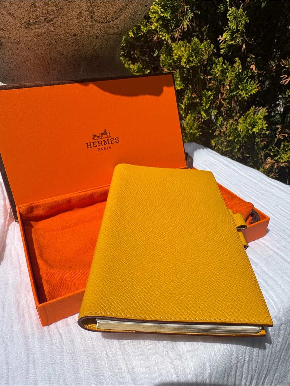 Hermes Veau Epsom Notebook/Agenda (Box and Dusty ) No callouts VGUC